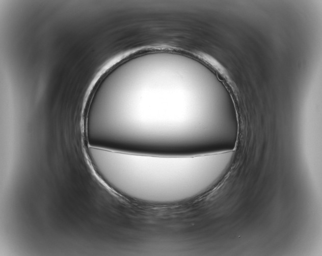 X0000086231335200703290935