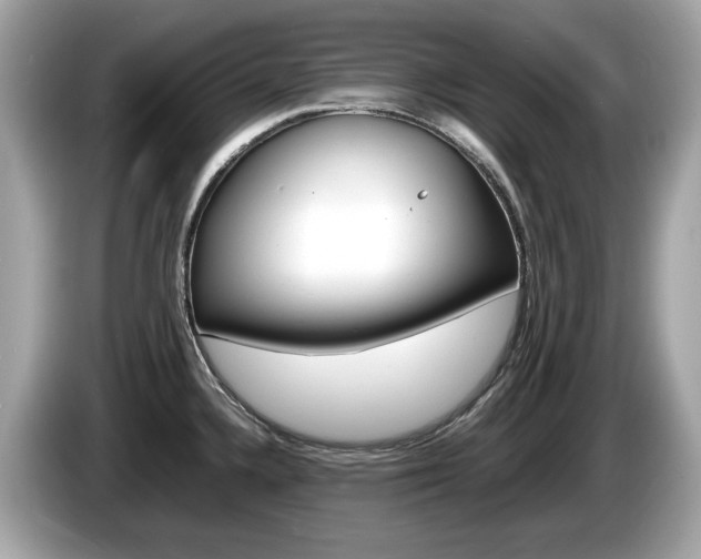 X0000086231336200703290935
