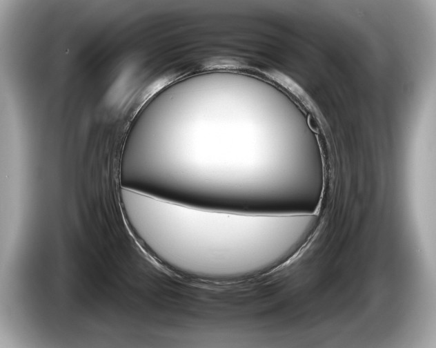 X0000086231337200703290935