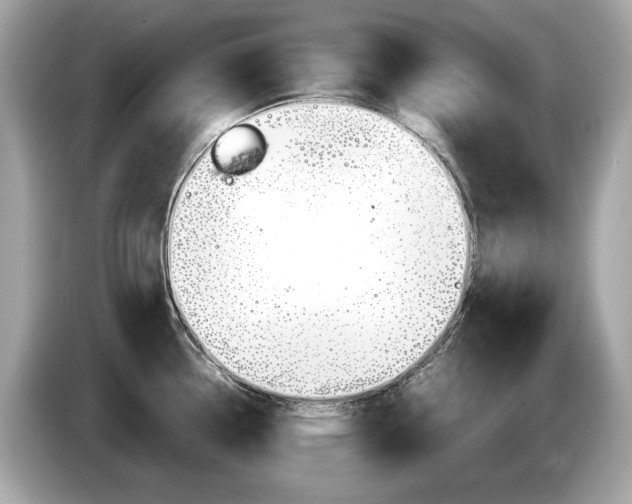 X0000086231338200703290935