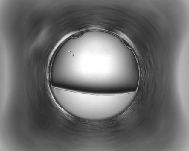 X0000086231339200703290935