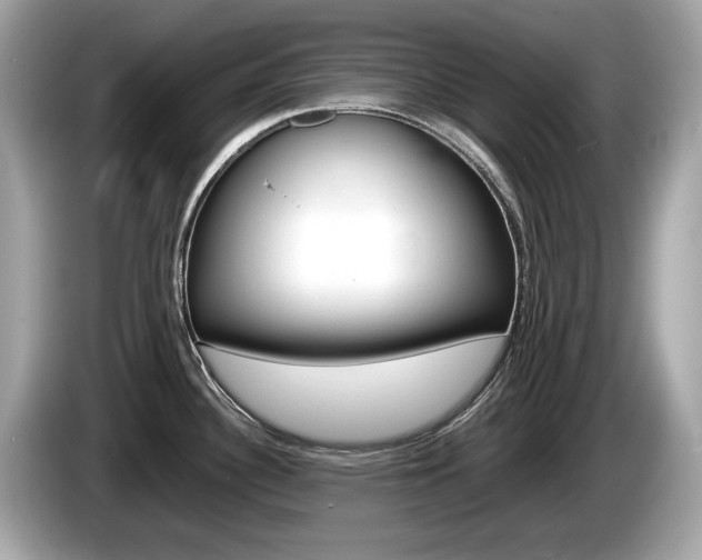 X0000086231340200703290935