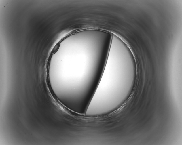 X0000086231341200703290935