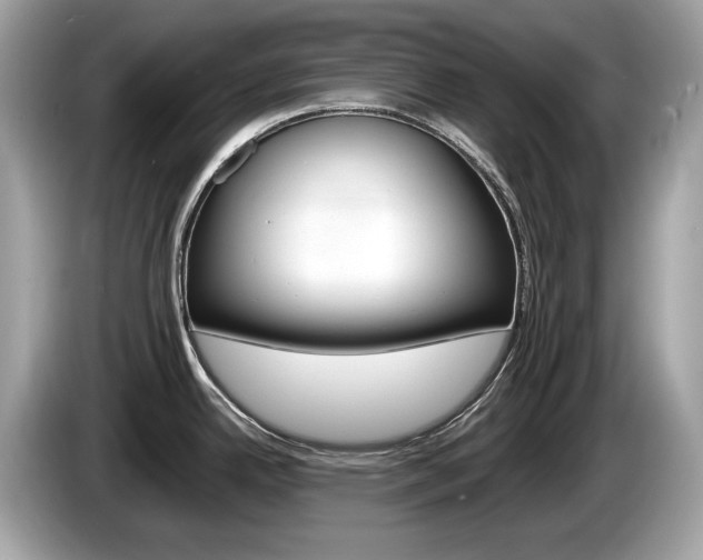 X0000086231342200703290935