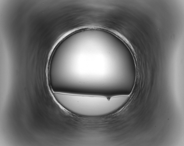 X0000086231343200703290935