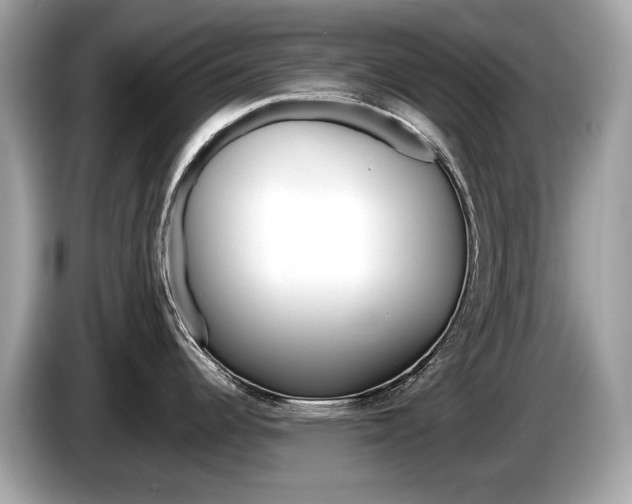 X0000086231344200703290935