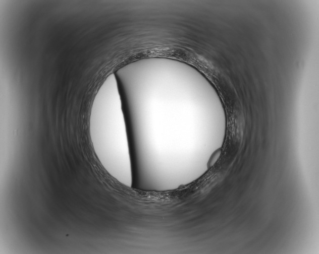 X0000086231346200703290935