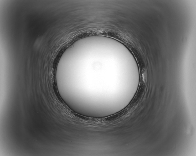 X0000086231347200703290935