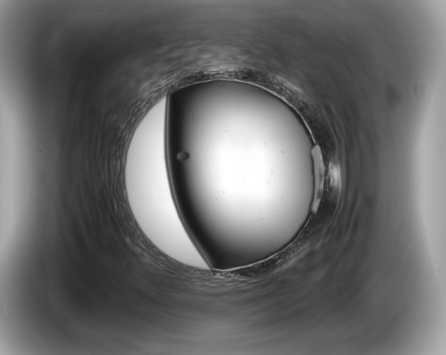 X0000086231348200703290935