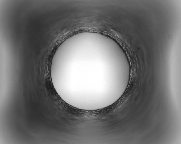 X0000086231350200703290934