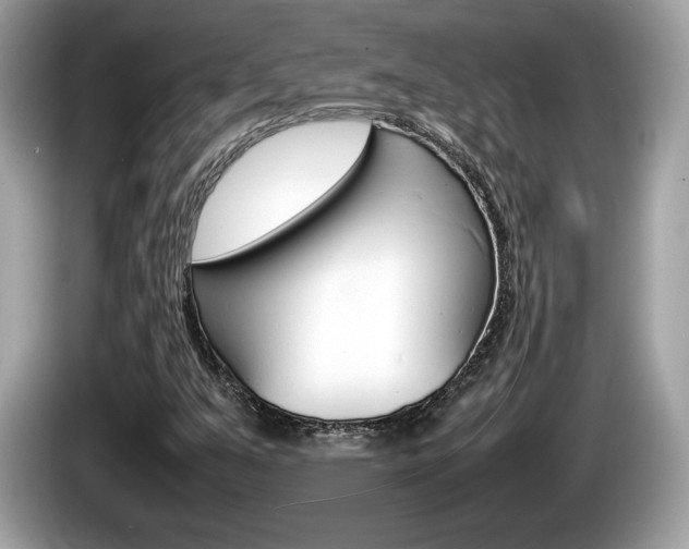 X0000086231351200703290934