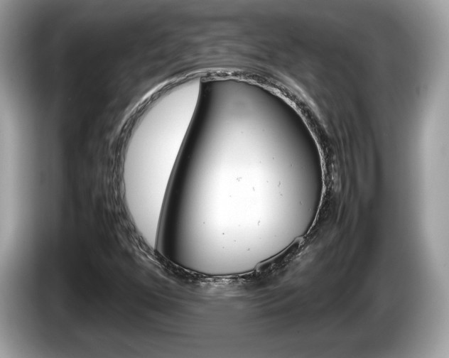 X0000086231352200703290934