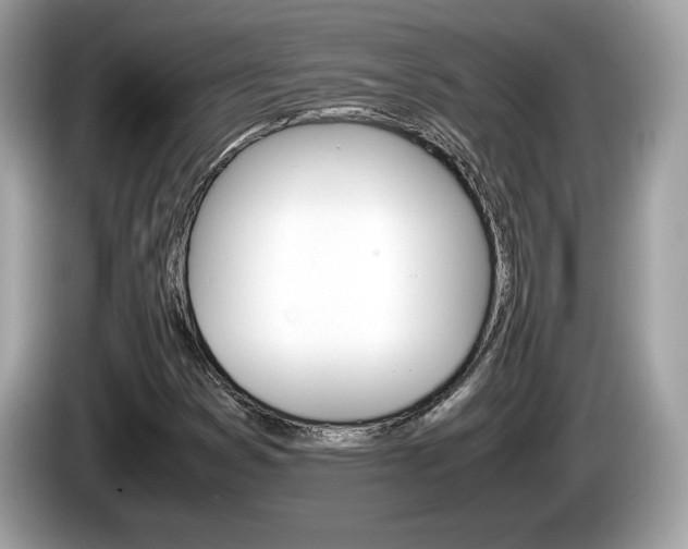 X0000086231353200703290934