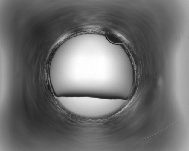 X0000086231354200703290934