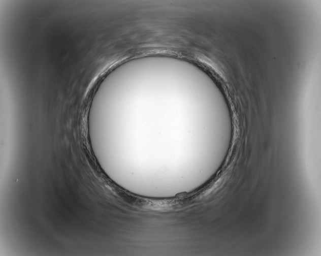 X0000086231357200703290934