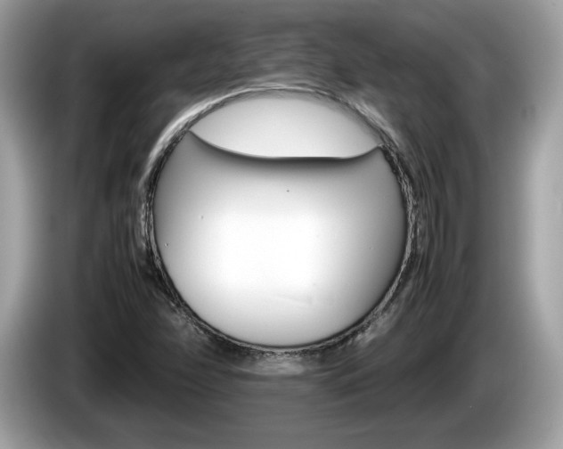 X0000086231358200703290934