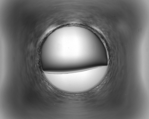 X0000086231359200703290934