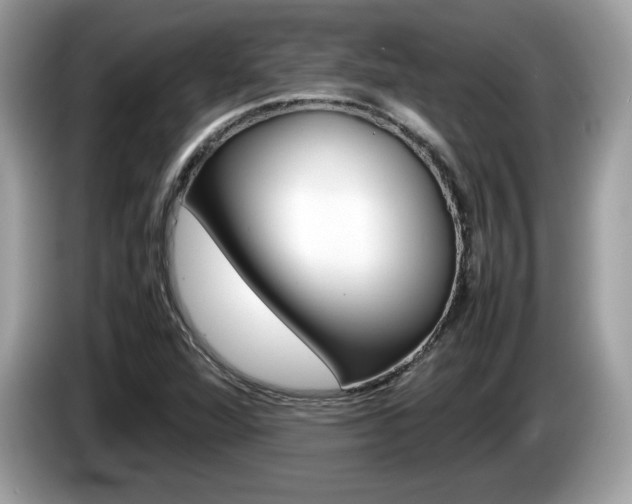 X0000086231360200703290934