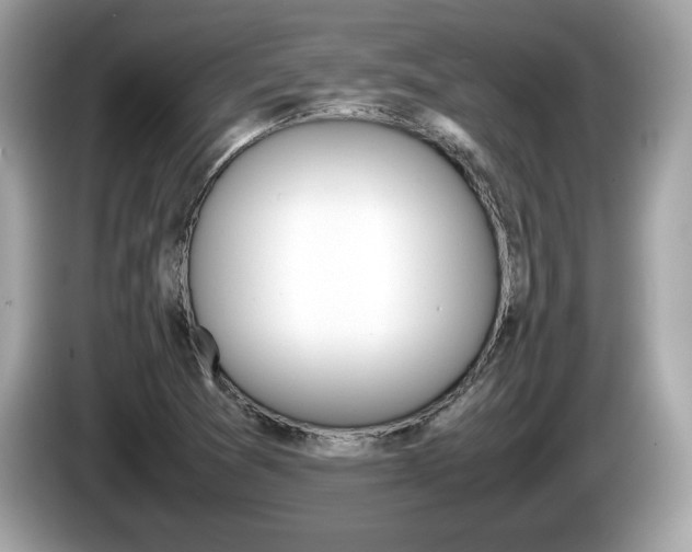 X0000086231361200703290934