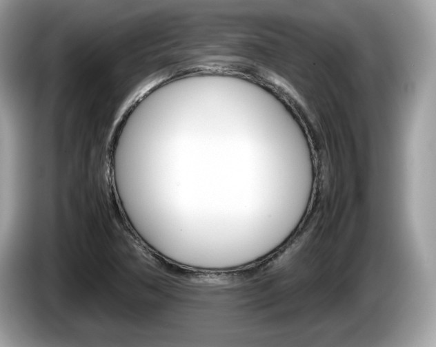 X0000086231362200703290934