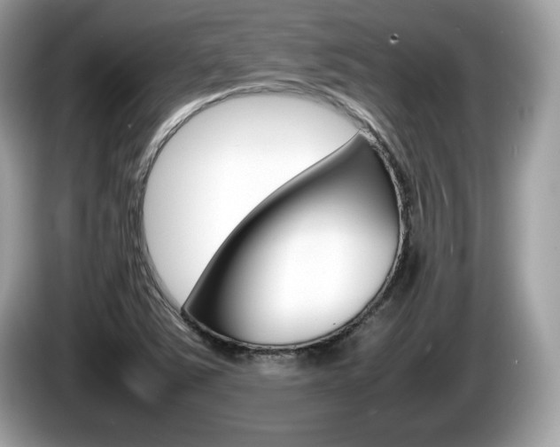 X0000086231363200703290934
