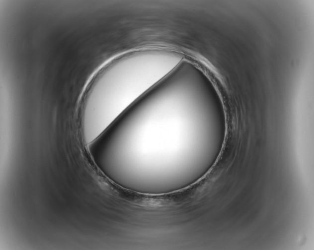 X0000086231364200703290934