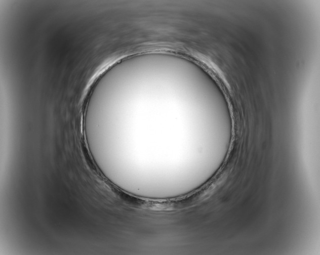 X0000086231365200703290934