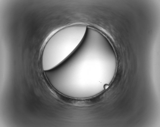 X0000086231367200703290934