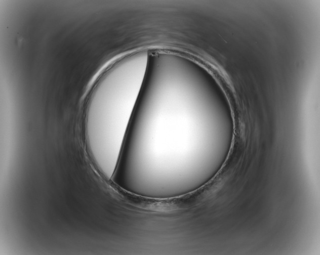 X0000086231368200703290934