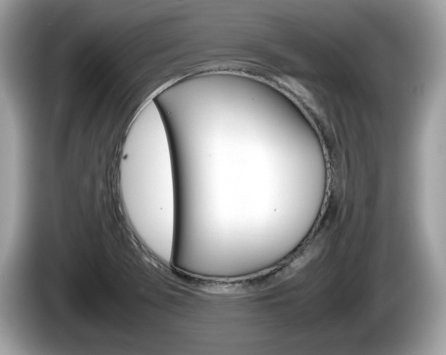 X0000086231369200703290934