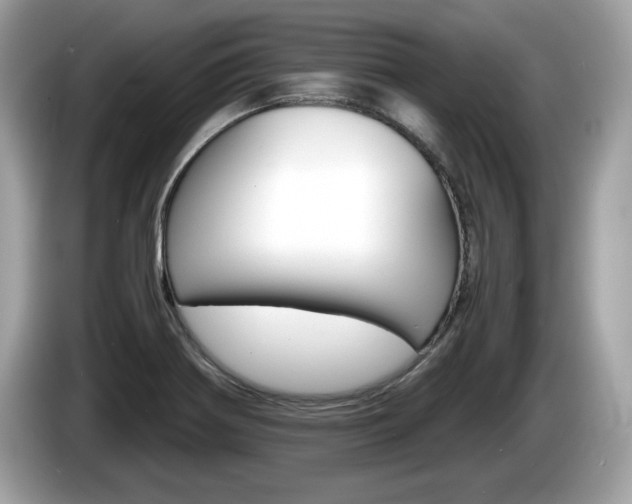 X0000086231370200703290934