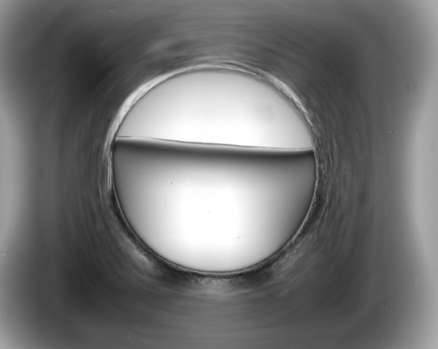 X0000086231371200703290934