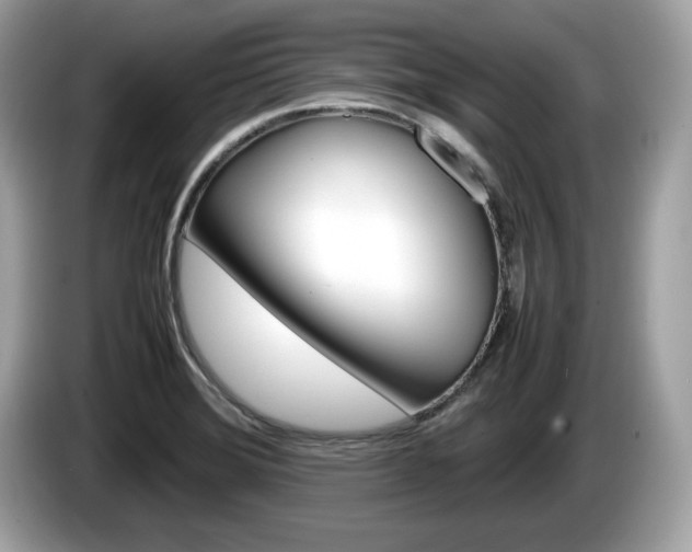 X0000086231372200703290934