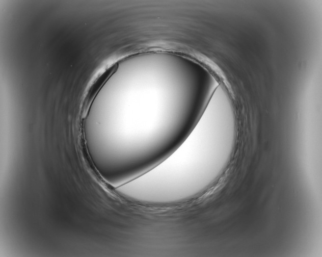 X0000086231373200703290934