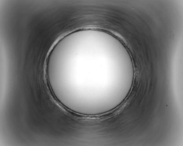 X0000086231374200703290934