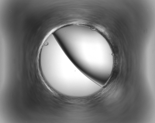 X0000086231375200703290934