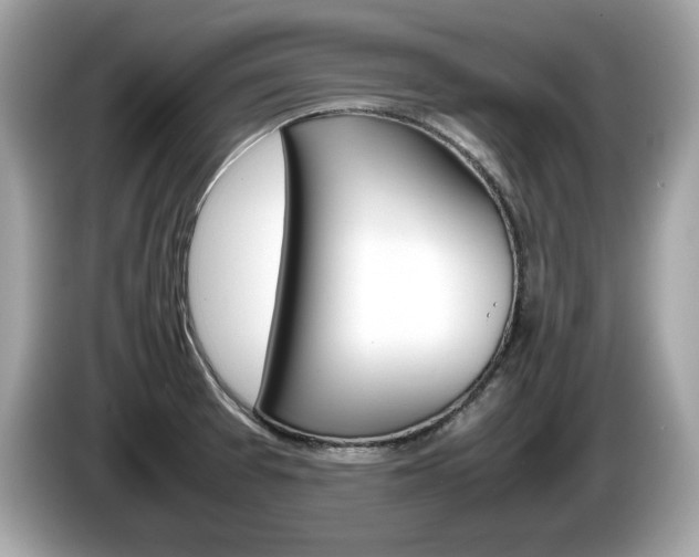 X0000086231377200703290934