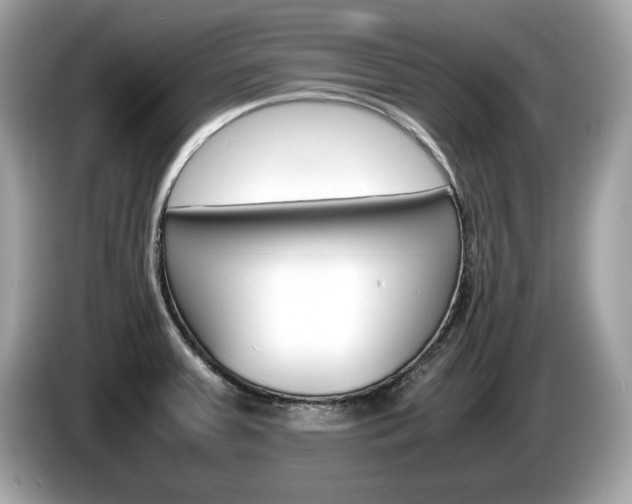 X0000086231379200703290934