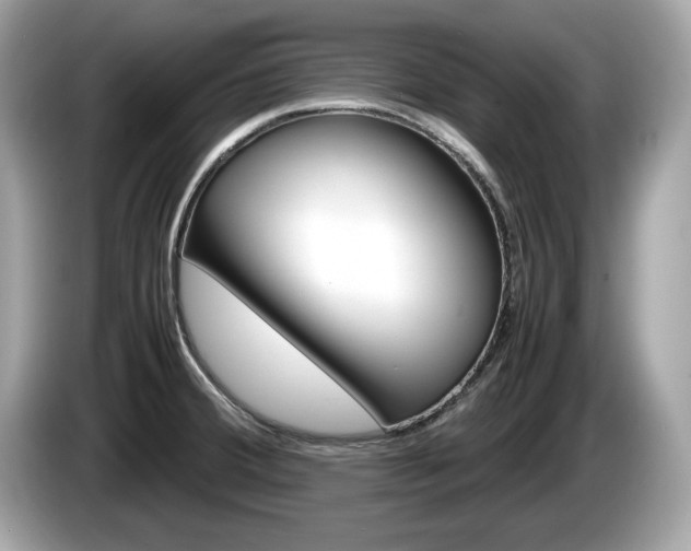 X0000086231380200703290934