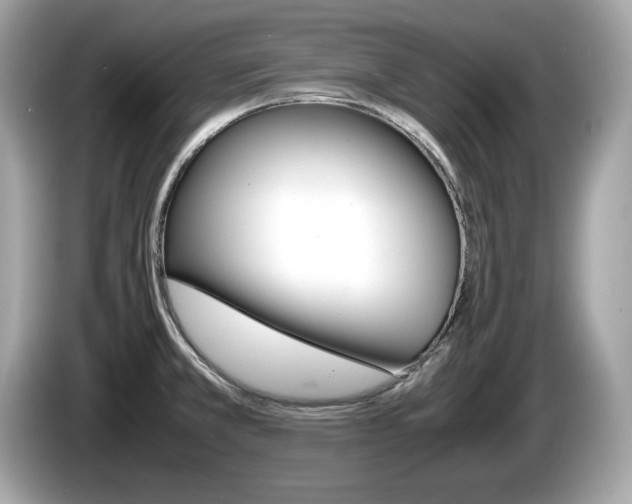 X0000086231381200703290934