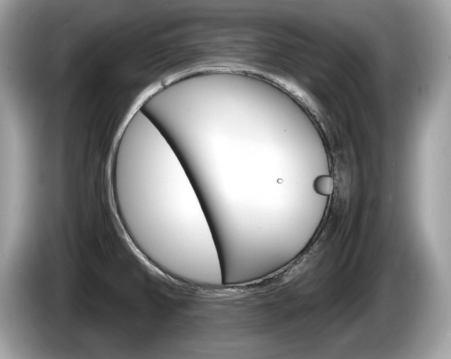 X0000086231382200703290934