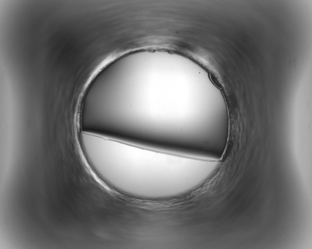X0000086231383200703290934