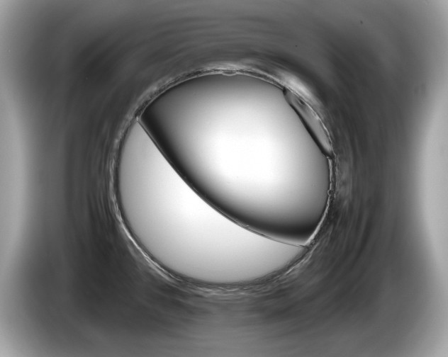 X0000086231384200703290934