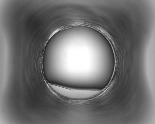X0000086231385200703290934