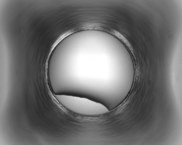 X0000086231386200703290934