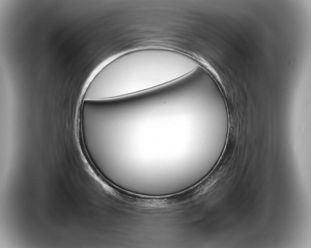 X0000086231387200703290934