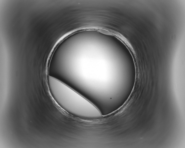 X0000086231388200703290934