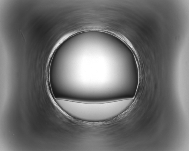 X0000086231389200703290934
