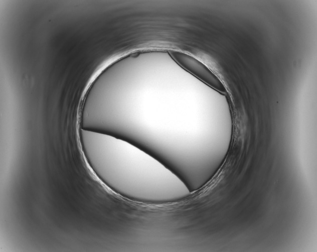 X0000086231390200703290934