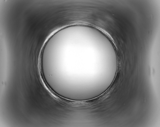 X0000086231391200703290934